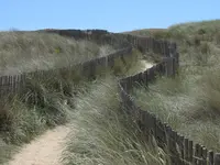 B-Kib6.webp B-Kib6.webp