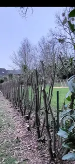 17402665176482.webp