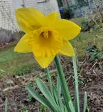 20250223_085948.webp