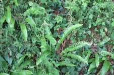 B-PoKr6.webp B-PoKr6.webp