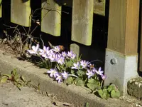P1110808.webp