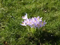 P1110811.webp