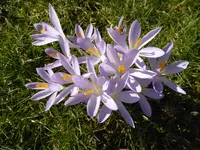 P1110813.webp