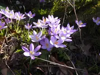 P1110817.webp