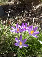 20250222_121607.webp
