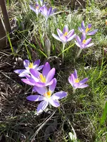 20250222_121602.webp