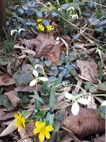 20250224_150250.webp