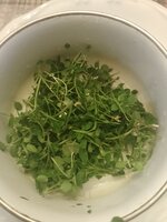 IMG_20250227_094704.jpg