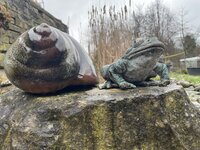 IMG_9555.jpeg