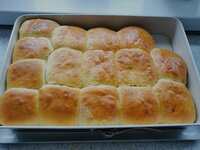 IMG_20250227_114214.jpg