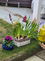 20250222_145944.webp