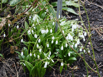 März     0125.webp