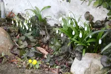 März     0525.webp