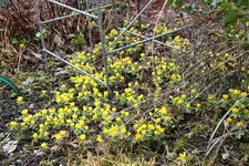 März     0725.webp