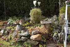 März     0825.webp