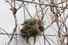 März     0925.webp