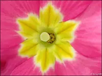 c048.webp