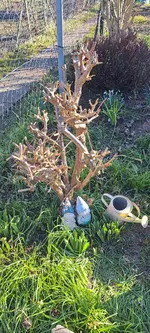 20250302_155134.webp
