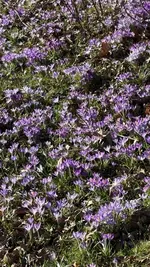 IMG_3679.webp