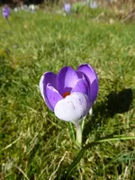 P1070083.webp