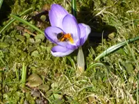 P1070090.webp