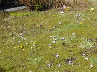 P1070100.webp