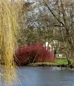 005.webp