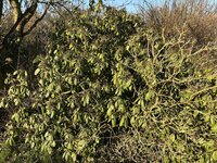 IMG_5878.jpeg