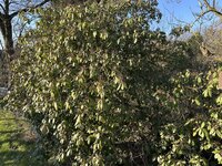 IMG_5876.jpeg