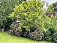 IMG_7212.jpeg