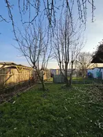 Obstbäume Schmidtke.webp
