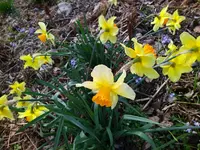 IMG_20240324_142848.webp