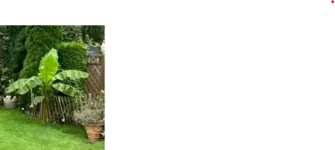 Screenshot 2025-03-07 112242.webp