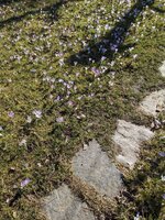 PXL_20250307_092930928.jpg