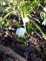 20250306_095448.webp