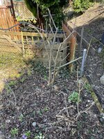 IMG_9627.jpeg