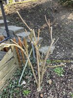 IMG_9628.jpeg