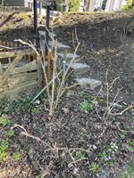 IMG_9629.jpeg