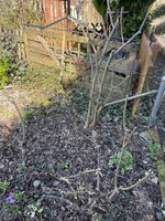 IMG_9630.jpeg