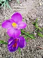 IMG_20250308_161148.webp
