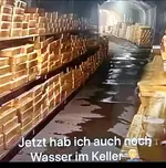 ich-bin-wirklich-ne-arme-sau-v0-kz3ccdmqopne1.webp