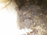 Image_2025-03-07 15_30_17_173.webp