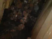 Image_2025-03-07 15_27_59_042.webp