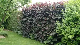 IMG_20180524_121929102.webp