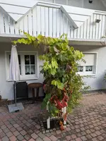 2024_Herbst1.webp