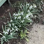 IMG_3755.jpeg