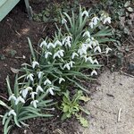 IMG_3755.jpeg