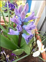 c064.webp