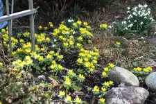 März     1325.webp