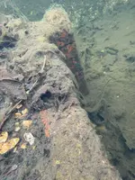 WhatsApp Image 2025-03-11 at 15.19.24.webp